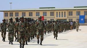 L'armée somalienne annonce avoir tué 20 membres d'Al-Shabaab dans la région mér…