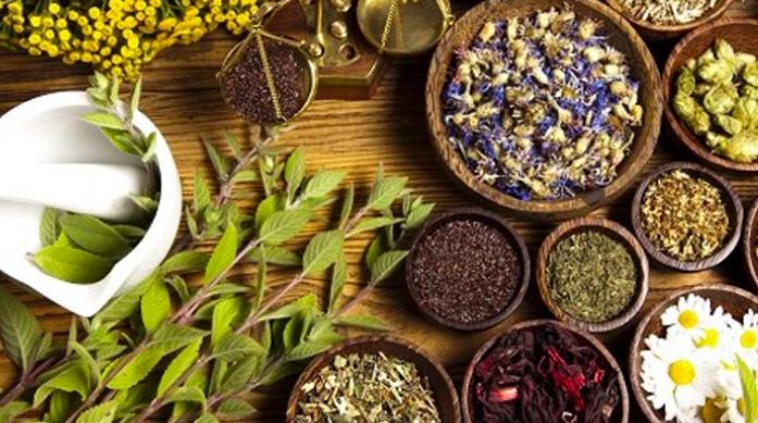 Production des plantes aromatiques et médicinales: le Maroc placé au deuxième r…