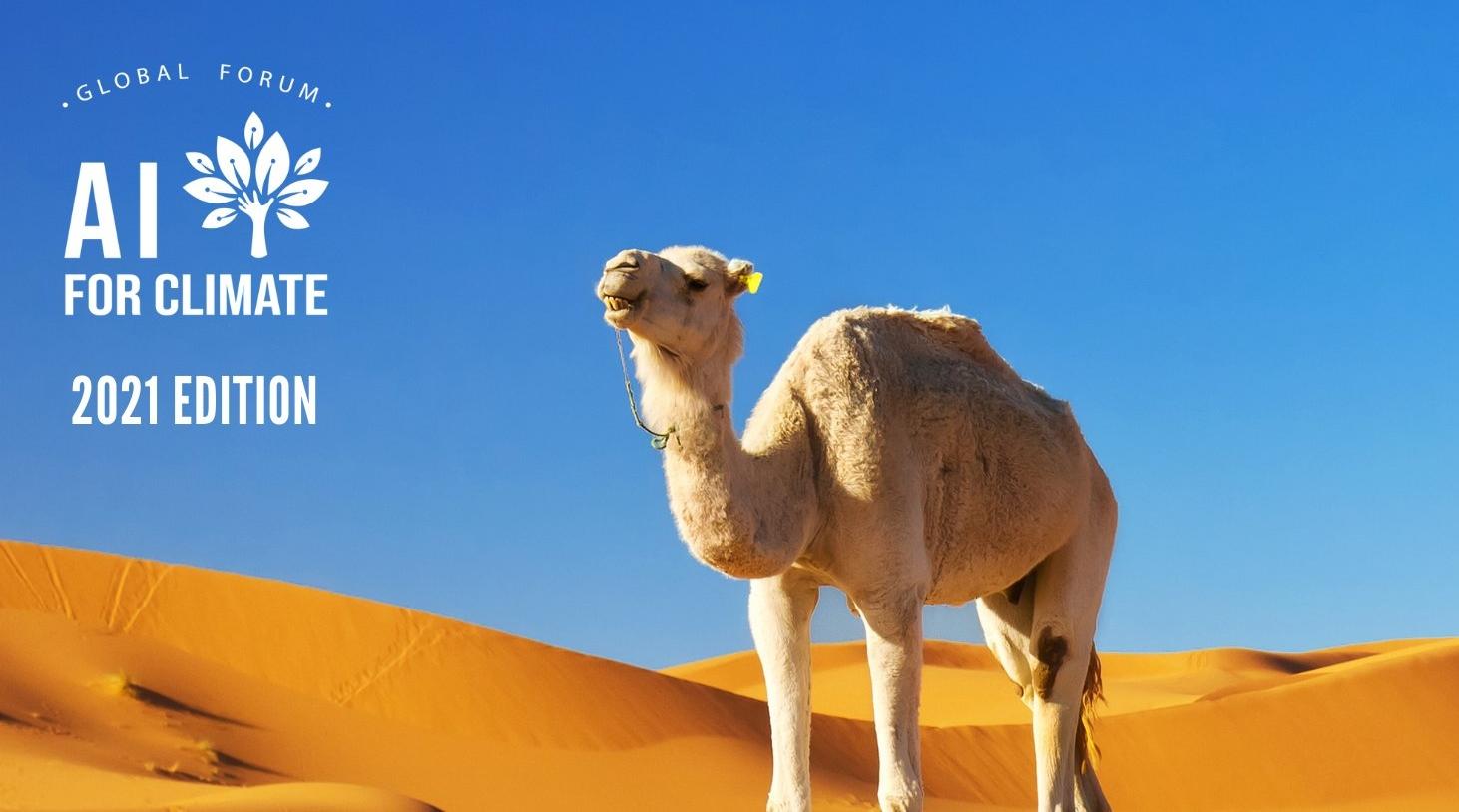 La deuxième édition du forum annule «AI for Climate» se tiendra à Dakhla