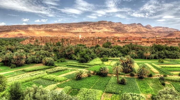 "بيوت الخزين" بالواحات..فضاءات لحفظ الذاكرة الجماعية والموروث الثقافي
