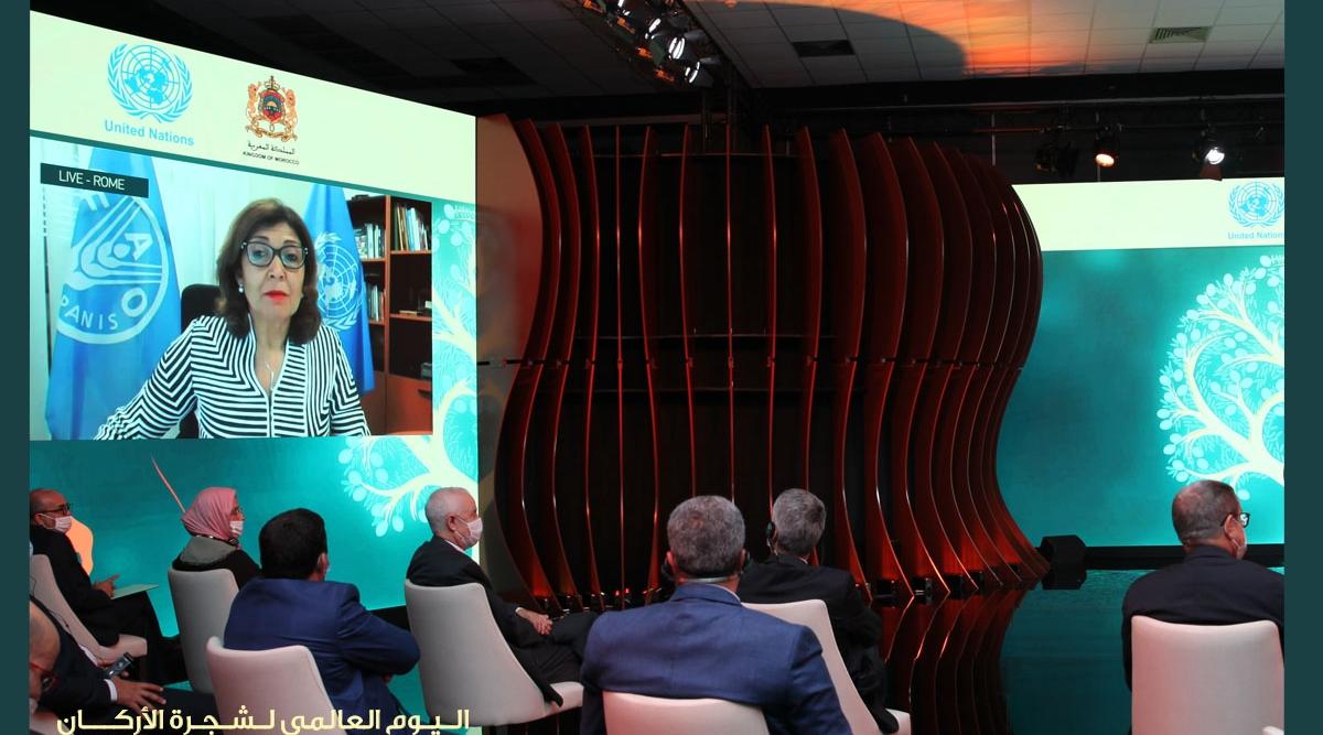 مديرة الفاو: الاحتفال باليوم العالمي لشجرة الأركان وبجهود المغرب يمثل "مصدر إ...