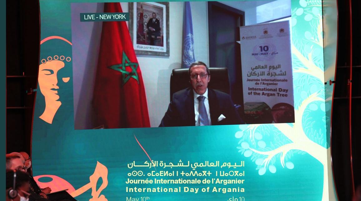 عمر هلال : شجرة الأركان.. الأمم المتحدة تدعم رؤية جلالة الملك بشأن الحفاظ على...