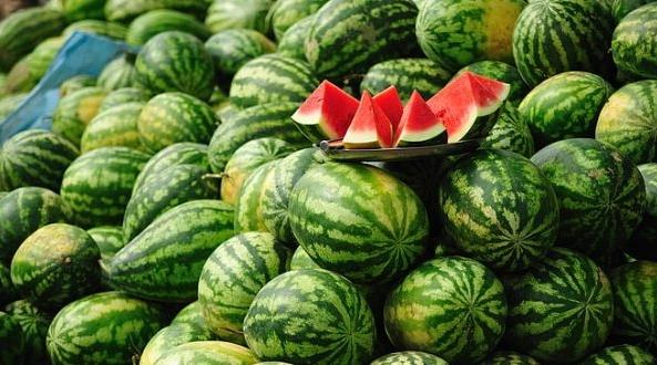 رئيس "أبيفيل" لـ 2M.ma: بطيخ زاكورة مارْكة عالمية وإشاعة تعديله جينيا تهدد تسو...