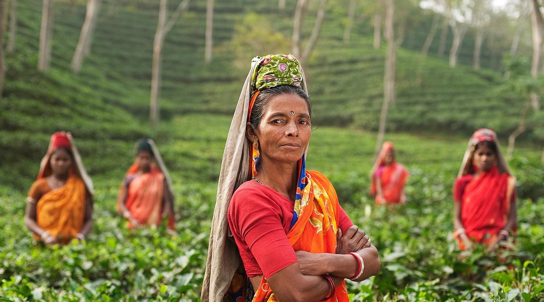 Inde: Les exportations agricoles en hausse de 17,5% en 2020-2021