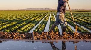 Conférence internationale sur l'agriculture durable, en octobre prochain à Béni…