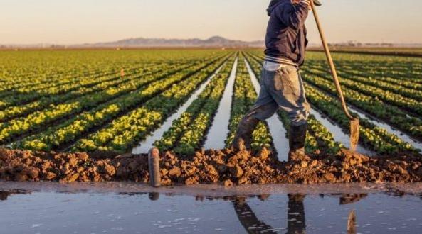Conférence internationale sur l'agriculture durable, en octobre prochain à Béni…