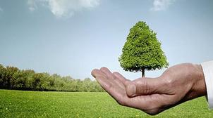 Les présidents des COP 25 et 26 exhortent les gouvernements à renforcer l'Allia…