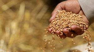 FAO: Les prix mondiaux des produits alimentaires repartent à la hausse