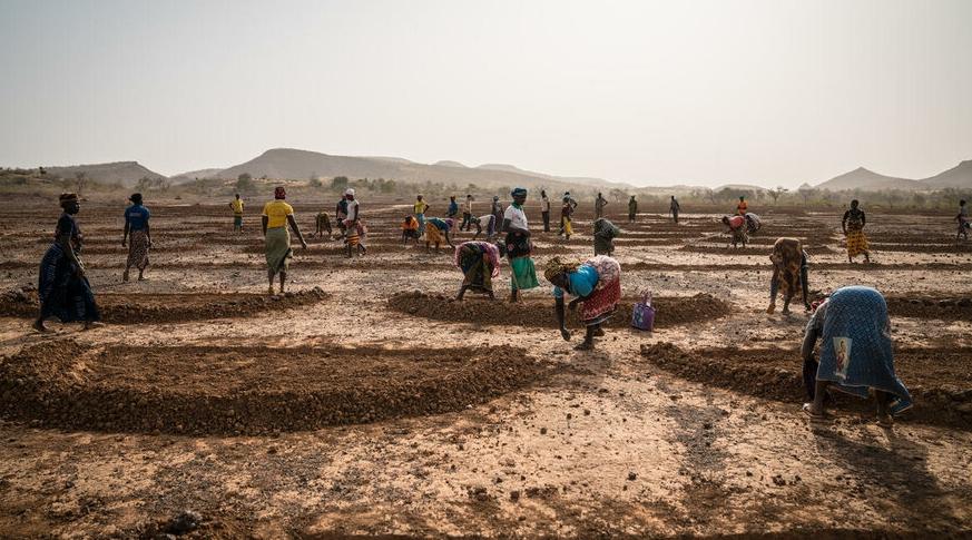 Famine : l’Éthiopie et Madagascar au niveau d’alerte maximum (FAO et PAM)