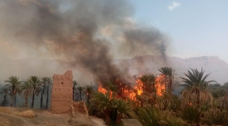 Zagora: un important incendie ravage les palmiers dans les communes de Taliouin…