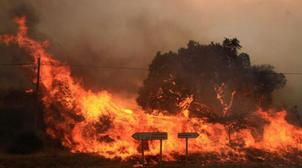 Espagne: l'incendie près de Malaga toujours en cours, nouvelles évacuations