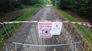 Réapparition de la peste porcine africaine en Allemagne et en République domini…