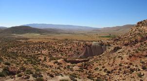 Le fossile d'un ankylosaure découvert au Maroc, le premier à être identifié en …
