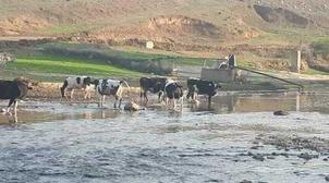 سيدي قاسم: واد الردوم يحتضر
